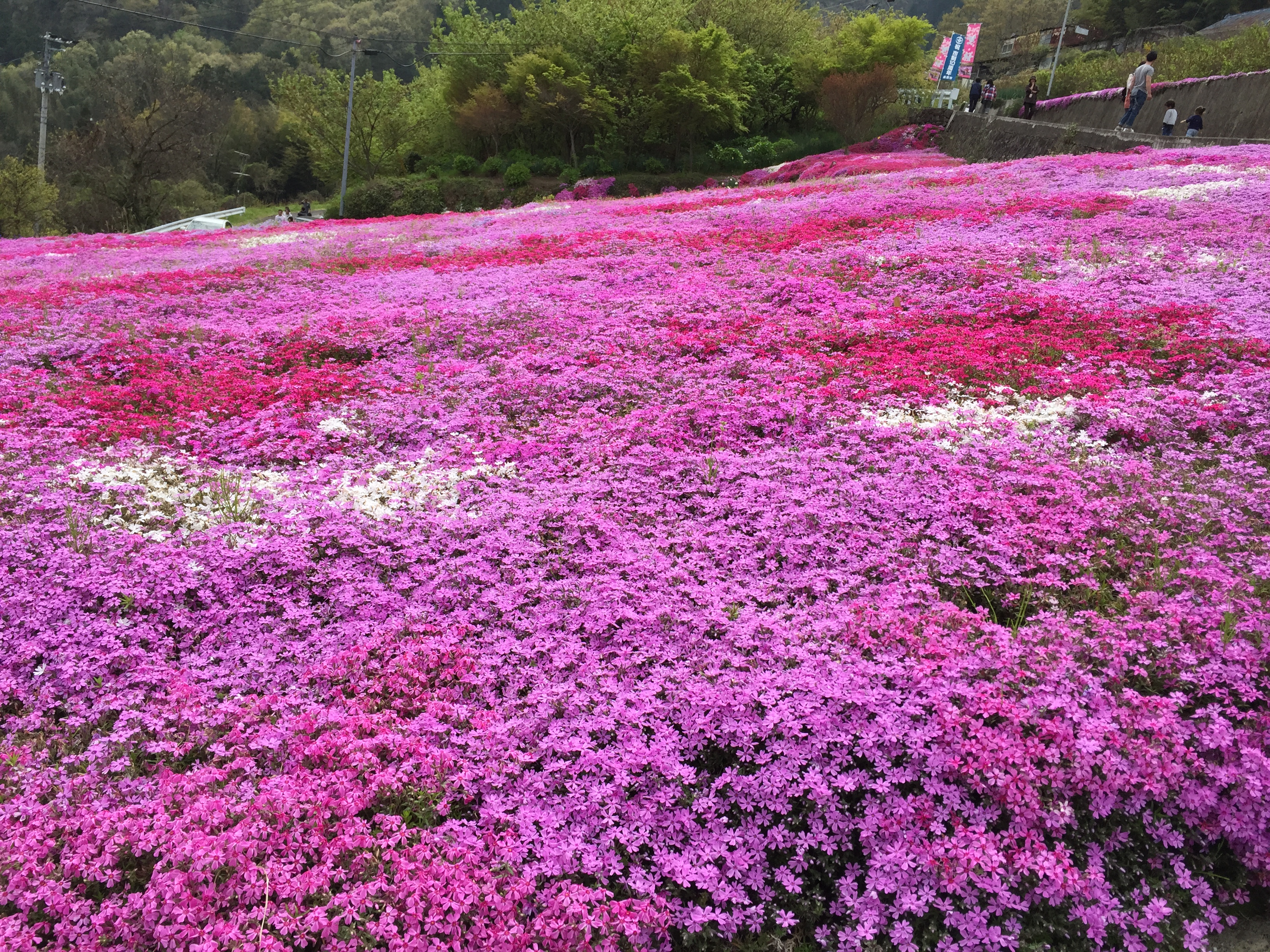 新たな観光誘致の形 美馬市と観光客を繋ぐ ロケツーリズム の企画が進行中 Zipangweb 地域と輝くニュースメディア エンタメ情報満載