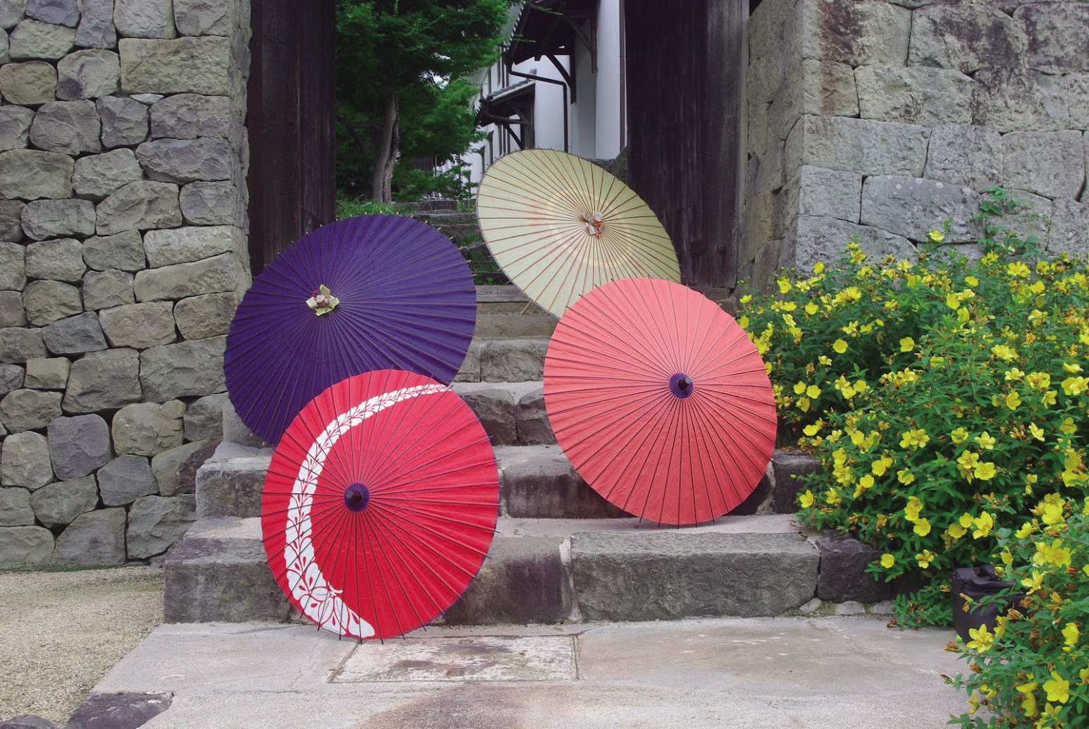 新たな観光誘致の形 美馬市と観光客を繋ぐ ロケツーリズム の企画が進行中 22年3月31日 エンタメ ニュース クランクイン